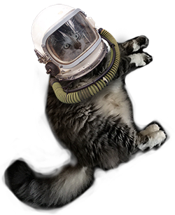 Hot Rod the cat wearing his original space helmet